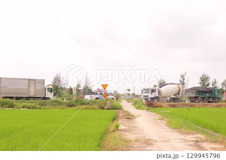 Rice fields in Vietnam. There are green rice fields in the field. Farmers work on them. In the background are villages and country roads Rice fields in Vietnam. There are green rice fields in the field. Farmers work on them. In the background are villages and country roads 129945796