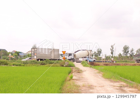 Rice fields in Vietnam. There are green rice fields in the field. Farmers work on them. In the background are villages and country roads Rice fields in Vietnam. There are green rice fields in the field. Farmers work on them. In the background are villages and country roads 129945797