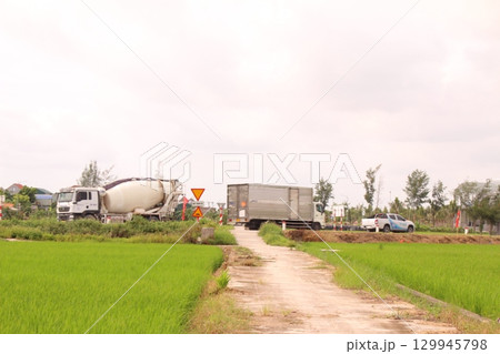 Rice fields in Vietnam. There are green rice fields in the field. Farmers work on them. In the background are villages and country roads Rice fields in Vietnam. There are green rice fields in the field. Farmers work on them. In the background are villages and country roads 129945798