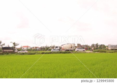 Rice fields in Vietnam. There are green rice fields in the field. Farmers work on them. In the background are villages and country roads Rice fields in Vietnam. There are green rice fields in the field. Farmers work on them. In the background are villages and country roads 129945800