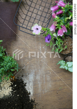 夏の寄せ植え、手順 夏の寄せ植え、手順 129945840