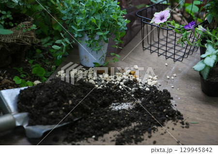 夏の寄せ植え、手順 129945842