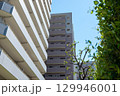 緑とマンションのある都市風景 129946001
