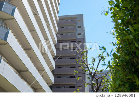 緑とマンションのある都市風景 緑とマンションのある都市風景 129946001