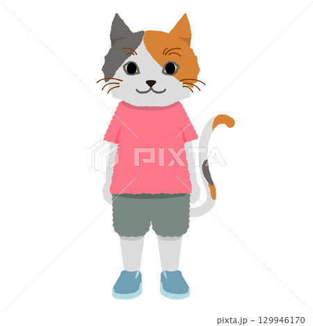 赤い服を着た直立で立っている三毛猫 129946170