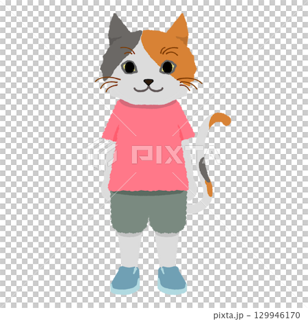 赤い服を着た直立で立っている三毛猫 129946170
