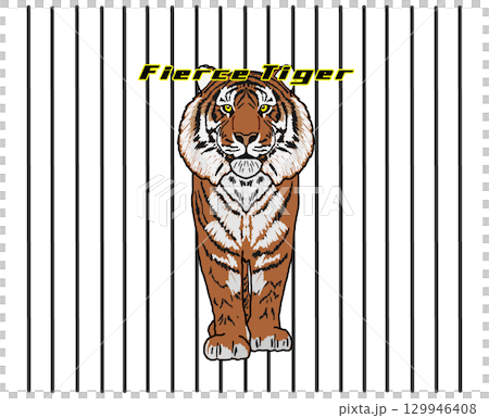 A tiger A tiger 129946408