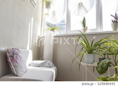 Cozy balcony designed in light tones with house pot plants 129946445