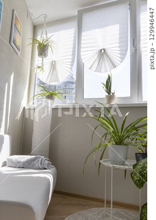 Cozy balcony designed in light tones with house pot plants Cozy balcony designed in light tones with house pot plants 129946447