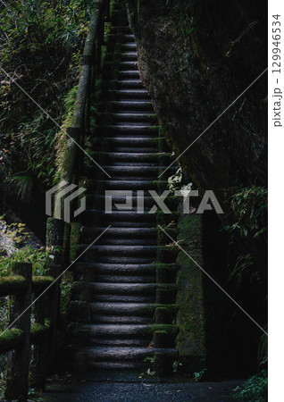 苔むした山道の木製階段 129946534