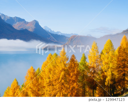 Autumn landscape in the mountains. Foggy morning. Nature. Fog and fall forest. 129947123