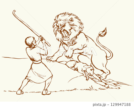 Vector drawing. An angry lion steal sheep Vector drawing. An angry lion steal sheep 129947188