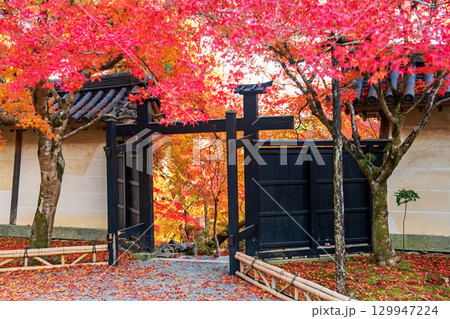 Gate landmark with autumn leaf at Nison-in Temple, Arashiyama 129947224