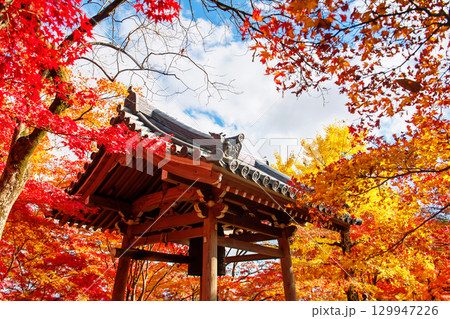 bell wood tower in autumn colors at Jojakkoji temple, Arashiyama 129947226
