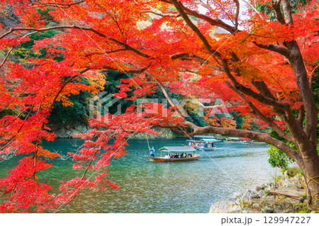 Boatman punt wooden tourist boat along Arashiyama river in autumn 129947227