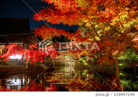 Kodai-ji temple garden and autumn leaf light up at night, Kyoto 129947240