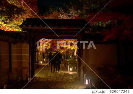 People visit autumn leaf light up at night, Kodai-ji temple, Kyoto People visit autumn leaf light up at night, Kodai-ji temple, Kyoto 129947242