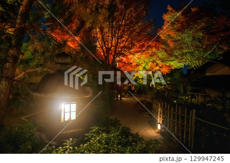 lantern light up with autumn leaf at night of Kodaiji garden, Kyoto 129947245