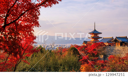 Kiyomizu dera temple with maple autumn leaf colors at sunset,Kyoto Kiyomizu dera temple with maple autumn leaf colors at sunset,Kyoto 129947251
