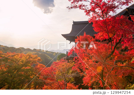 Sunset view of iconic Kiyomizu dera temple with fall colors, Kyoto Sunset view of iconic Kiyomizu dera temple with fall colors, Kyoto 129947254