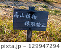 高山植物採取禁止看板 129947294