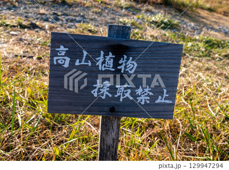 高山植物採取禁止看板 高山植物採取禁止看板 129947294