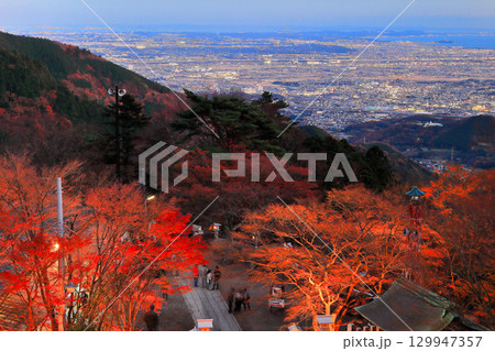 【神奈川県】大山寺紅葉ライトアップと湘南の眺め 129947357