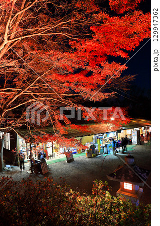【神奈川県】大山寺紅葉ライトアップ 【神奈川県】大山寺紅葉ライトアップ 129947362
