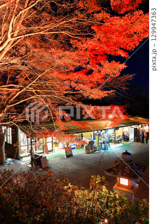 【神奈川県】大山寺紅葉ライトアップ 129947363
