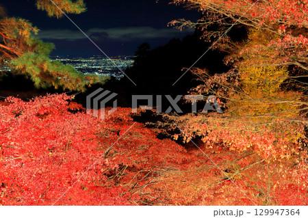 【神奈川県】大山寺紅葉ライトアップと湘南の眺め 129947364
