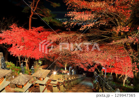 【神奈川県】大山寺紅葉ライトアップ 129947365