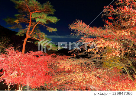 【神奈川県】大山寺紅葉ライトアップと湘南の眺め 129947366
