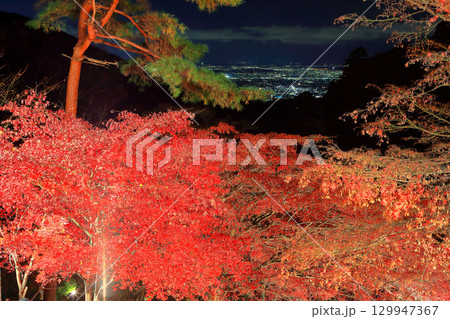 【神奈川県】大山寺紅葉ライトアップと湘南の眺め 129947367