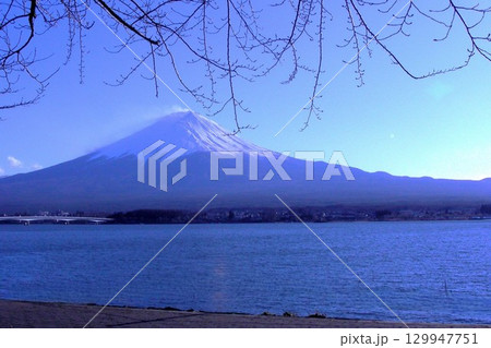 春 遠し「 富士山」河口湖 春 遠し「 富士山」河口湖 129947751