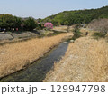 祓川　みやこ町　福岡県　 129947798