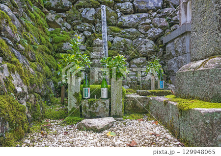 滋賀大津 西教寺 光秀の妻煕子の墓 129948065