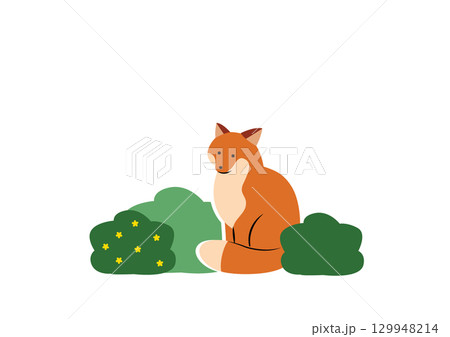 茂みのそばで座るキタキツネ 茂みのそばで座るキタキツネ 129948214