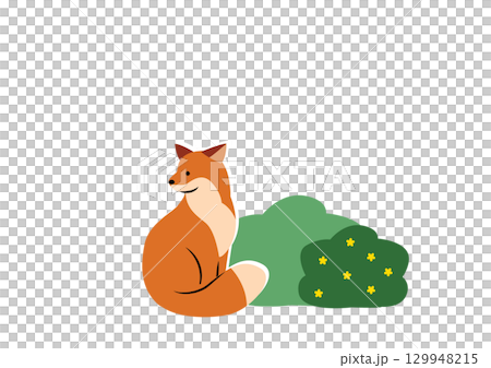 茂みのそばで座るキタキツネ 129948215