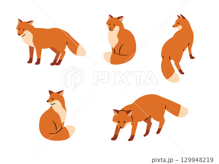 可愛い狐のイラストセット 129948219