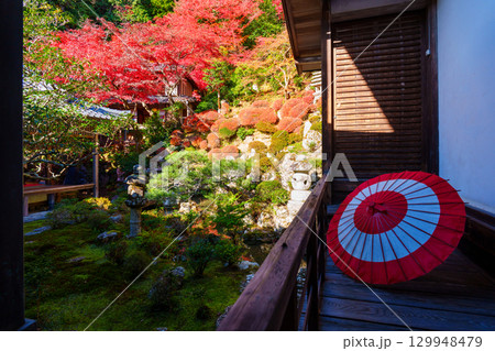 赤い和傘と紅葉の庭園 129948479