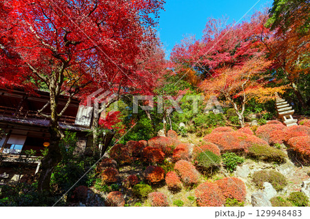 紅葉のある庭 129948483