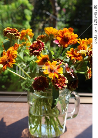 切り戻したジニアの花を生ける 129948580