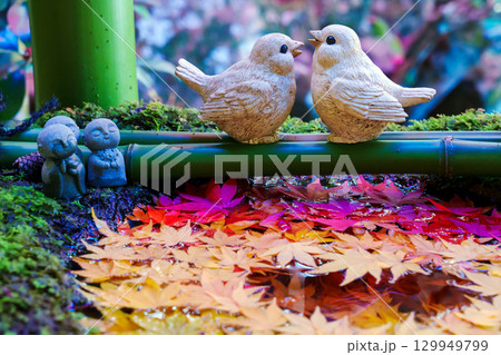 つくばいに浮かぶ紅葉 つくばいに浮かぶ紅葉 129949799