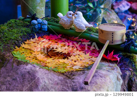 つくばいに浮かぶ紅葉 129949801