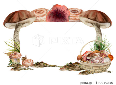 Basket of picked mushrooms on bark with moss lichen growth, horsetail stalks. Copy space frame hand drawn in watercolor. Bolete russula milk-cap fungi forest harvest, raw ingredient for vegan cooking. Basket of picked mushrooms on bark with moss lichen growth, horsetail stalks. Copy space frame hand drawn in watercolor. Bolete russula milk-cap fungi forest harvest, raw ingredient for vegan cooking. 129949830