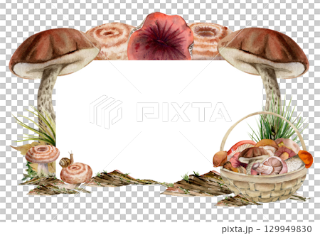 Basket of picked mushrooms on bark with moss lichen growth, horsetail stalks. Copy space frame hand drawn in watercolor. Bolete russula milk-cap fungi forest harvest, raw ingredient for vegan cooking. 129949830