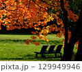 紅葉の真駒内公園 129949946