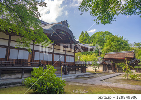 滋賀大津 西教寺 宗祖大師殿と北門 滋賀大津 西教寺 宗祖大師殿と北門 129949986
