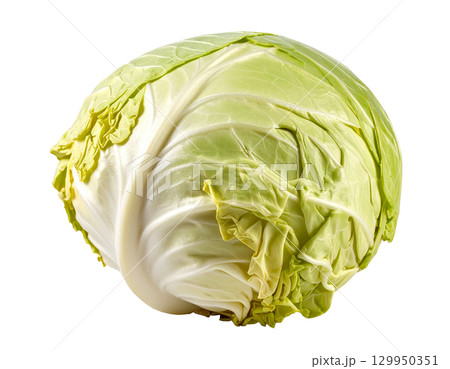 秋の新鮮な収穫野菜（キャベツ） 129950351