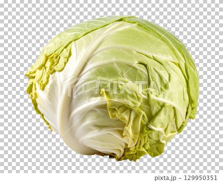 秋の新鮮な収穫野菜（キャベツ） 129950351